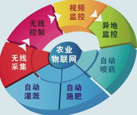 农村物联网综合信息服务项目网络技术服务收尾工作全面展开