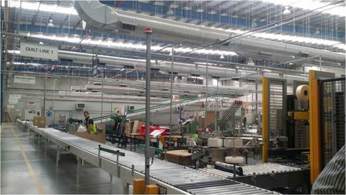 羊毛变金子 探访澳洲最神秘工厂，揭秘世界顶尖羊毛加工技术转让之路